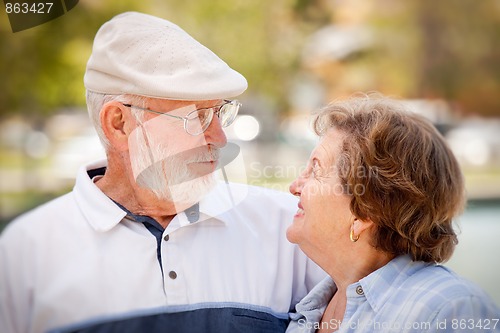 Image of Happy Senior Couple in The Park