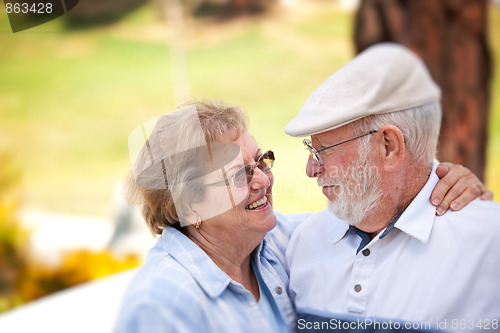 Image of Happy Senior Couple in The Park