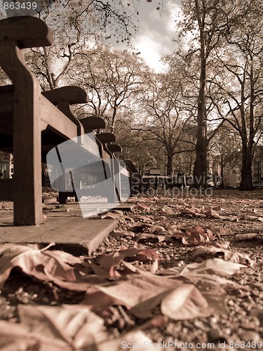 Image of Fall in a park