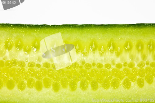 Image of Cucumber detail shot on white background