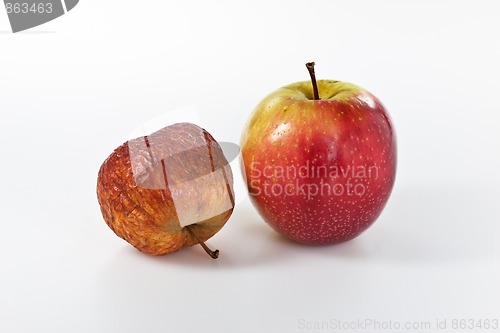 Image of Apples in different stages of ageing