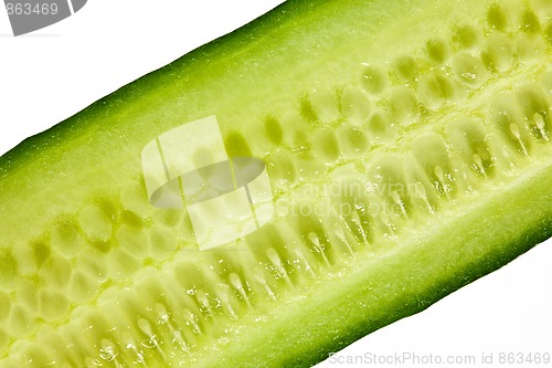 Image of Cucumber detail shot on white background