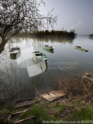 Image of Row Boats on the Old Rhine