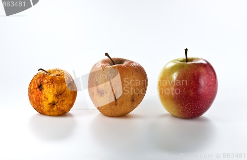 Image of Apples in different stages of ageing