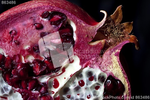 Image of Pomegranate with arils detail shot