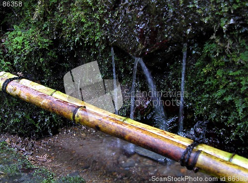 Image of Fountain In The Forest