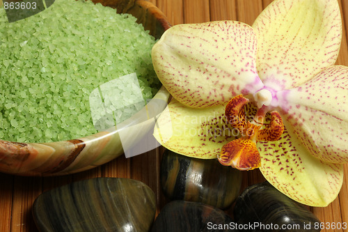 Image of Orchid spa