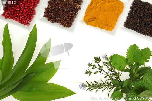 Image of Herbs and spices