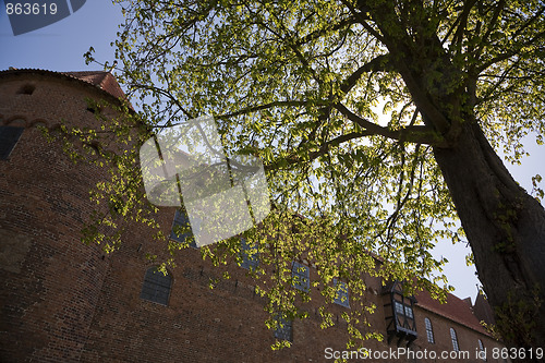 Image of Nyborg Castle at springtime