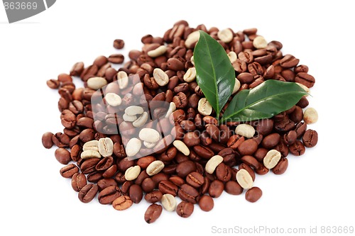 Image of green and brown coffee beans