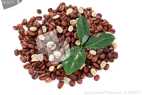 Image of green and brown coffee beans
