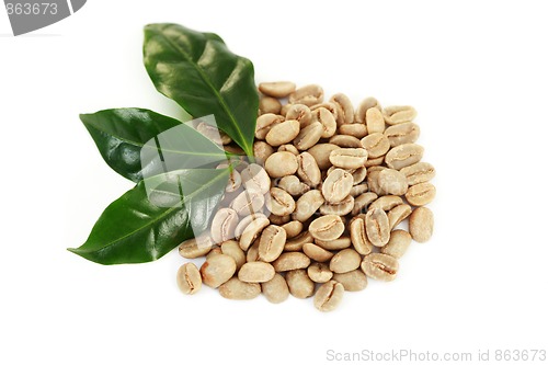 Image of green coffee beans