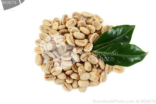 Image of green coffee beans