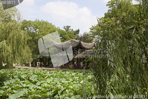Image of Chinese Garden
