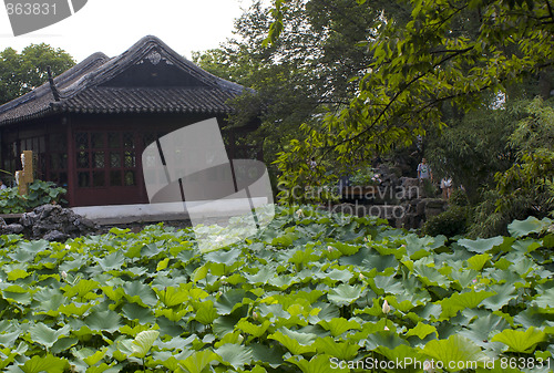 Image of Chinese Garden