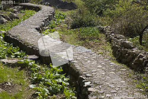 Image of Winding paths