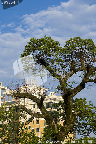 Image of house and tree