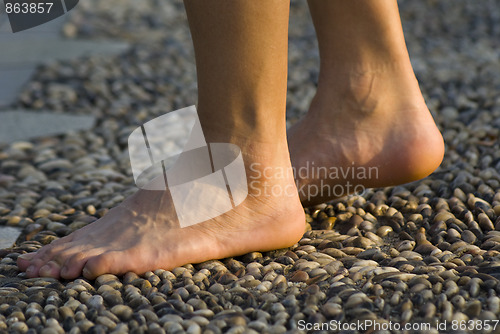 Image of Walk on the cobblestone