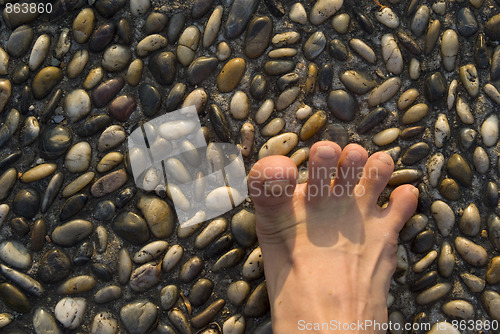 Image of Walk on the cobblestone
