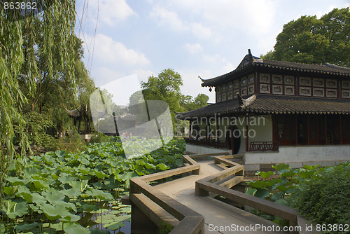 Image of Chinese Garden