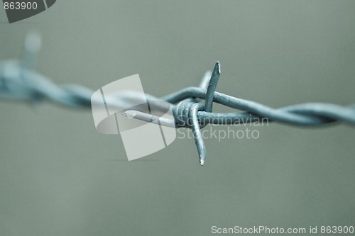 Image of Barbwire