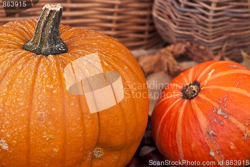 Image of Two pumpkins with leaves and wodden basket