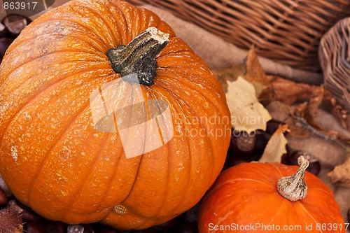 Image of Two pumpkins with leaves and wodden basket