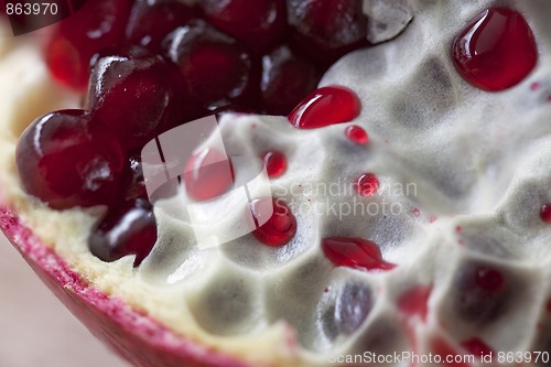 Image of Pomegranate with arils detail shot