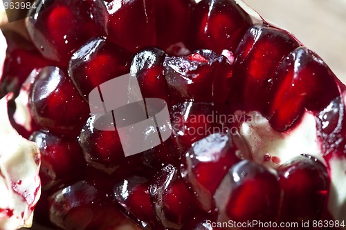 Image of Pomegranate with arils detail shot