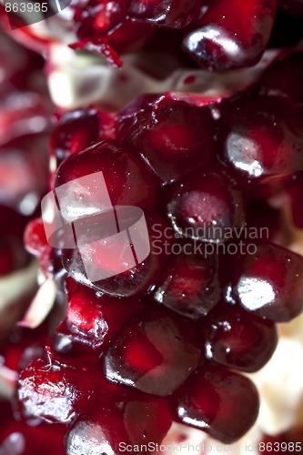 Image of Pomegranate with arils detail shot