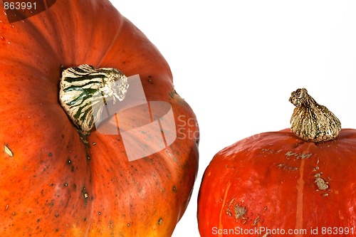 Image of Two orange colored pumpkins on white