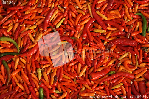 Image of Red pepper