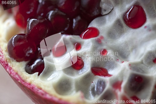 Image of Pomegranate with arils detail shot