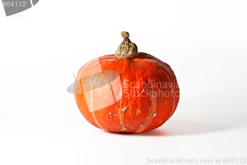 Image of Single pumpkin on white