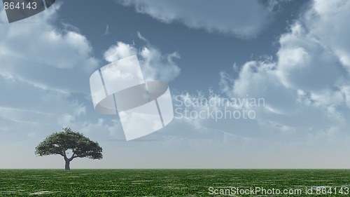 Image of lonely tree