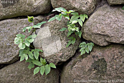 Image of rocks