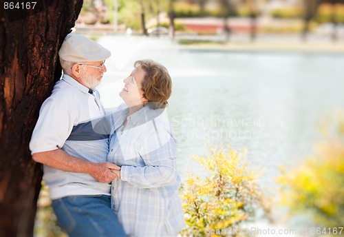 Image of Happy Senior Couple in The Park