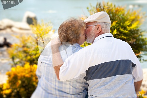 Image of Happy Senior Couple in The Park