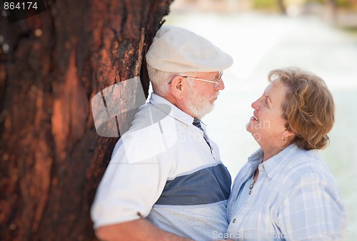 Image of Happy Senior Couple in The Park