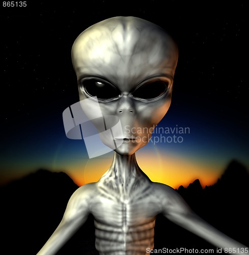 Image of Grey Alien