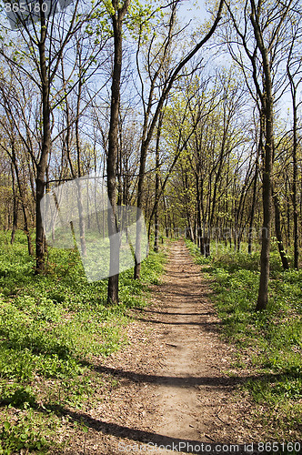 Image of The image of spring park