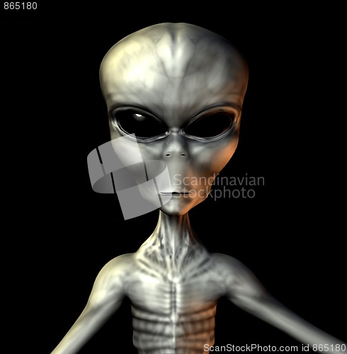 Image of Grey Alien