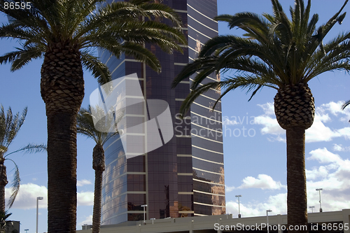 Image of Mirrored Business Building in a Tropical Area