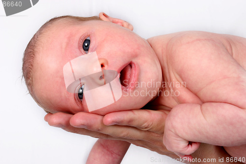 Image of Newborn Baby