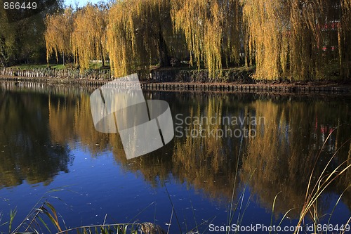 Image of Small Lake with Trees in Autumn