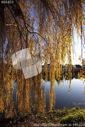 Image of Small Lake with Trees in Autumn