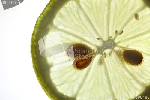 Image of Sliced Lemon isolated on white