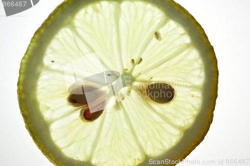 Image of Sliced Lemon isolated on white