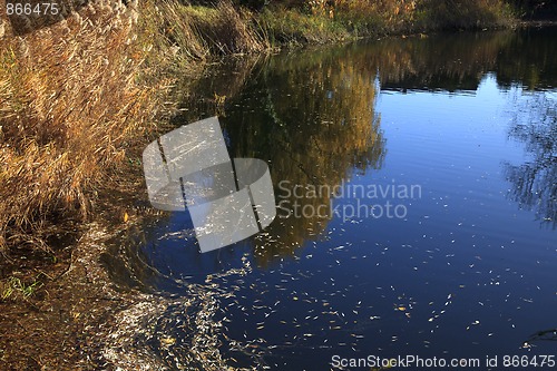 Image of Small Lake with Trees in Autumn