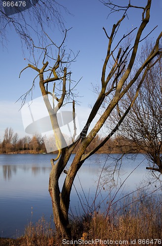 Image of Small Lake with Trees in Autumn